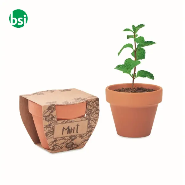 Terracotta pot mint seeds - MINT POT -  2